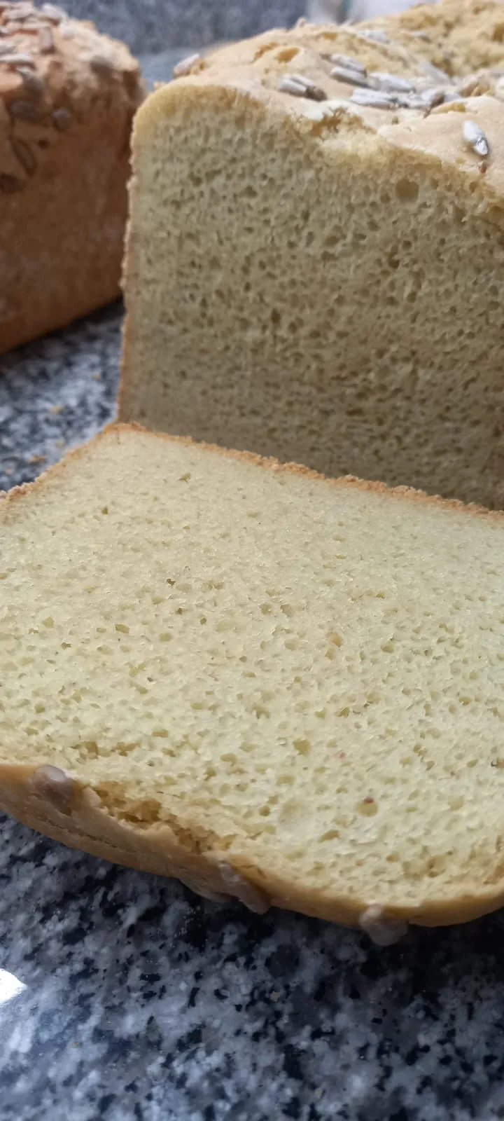 Pan de molde integral de arveja 